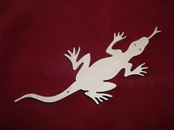 Fotogaléria prác Juraja Mertuša st. -...